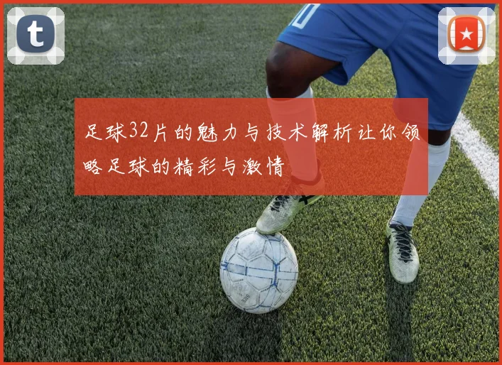 足球32片的魅力与技术解析让你领略足球的精彩与激情