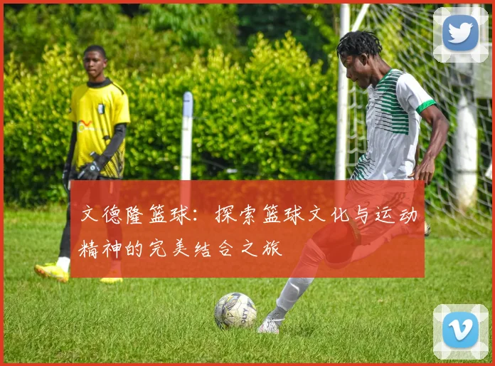 文德隆篮球：探索篮球文化与运动精神的完美结合之旅